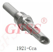 1921-cca