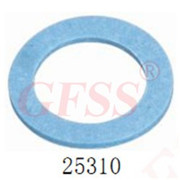 25310
